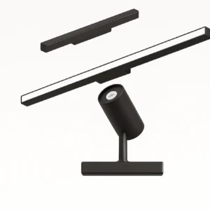 (NL-78) Magnetic Linear Light