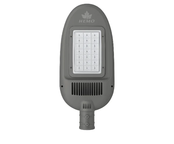 (NL-43) R25-60w/120w