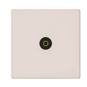 Dish/TV Socket