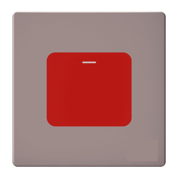 45A DP Switch