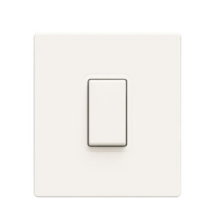 20A DP Switch