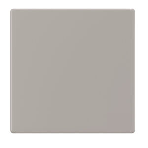 Blank Cover