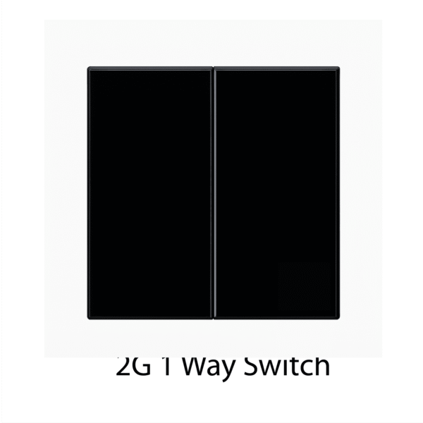 2G 1 Way Switch