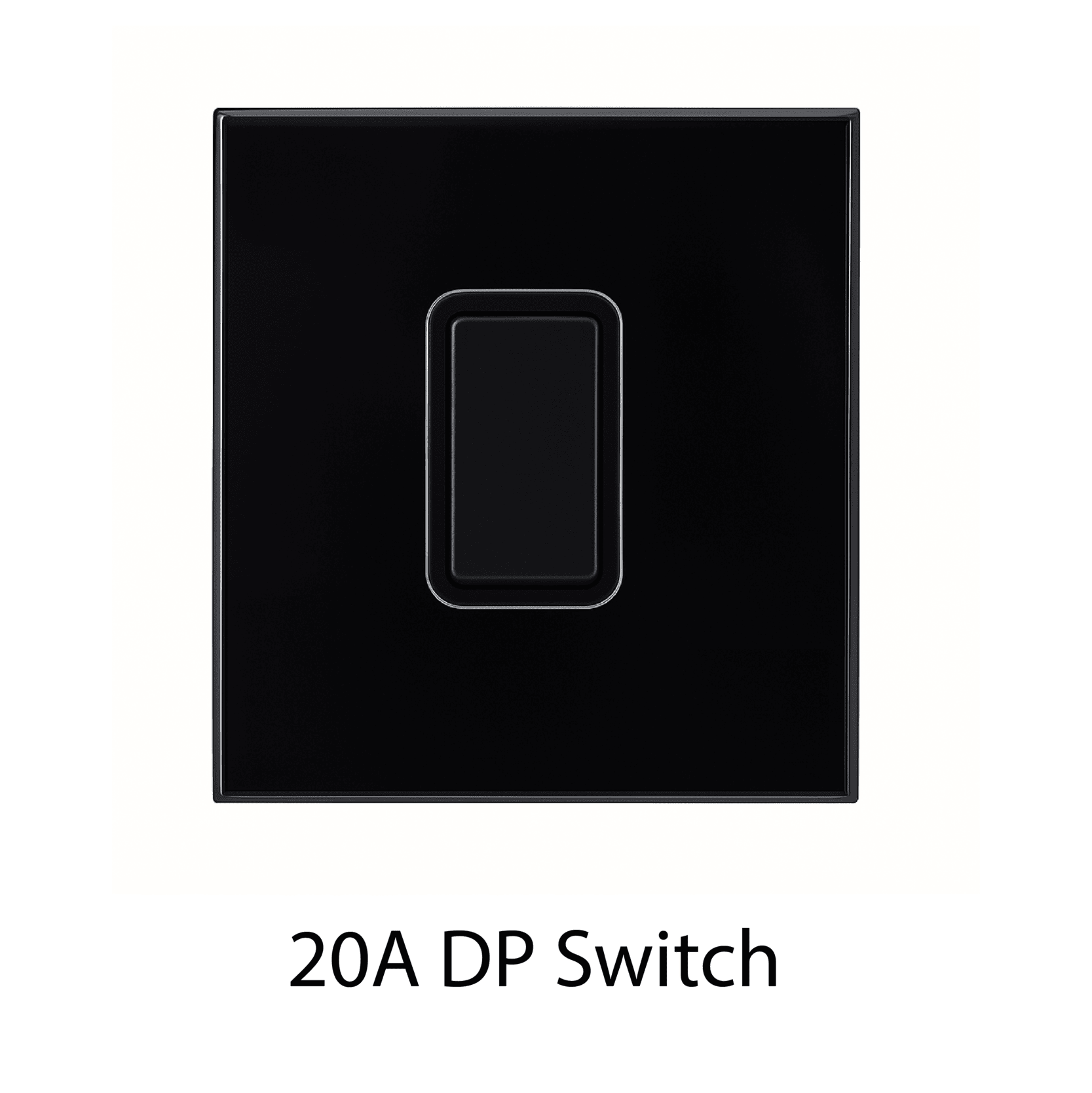 20A DP Switch