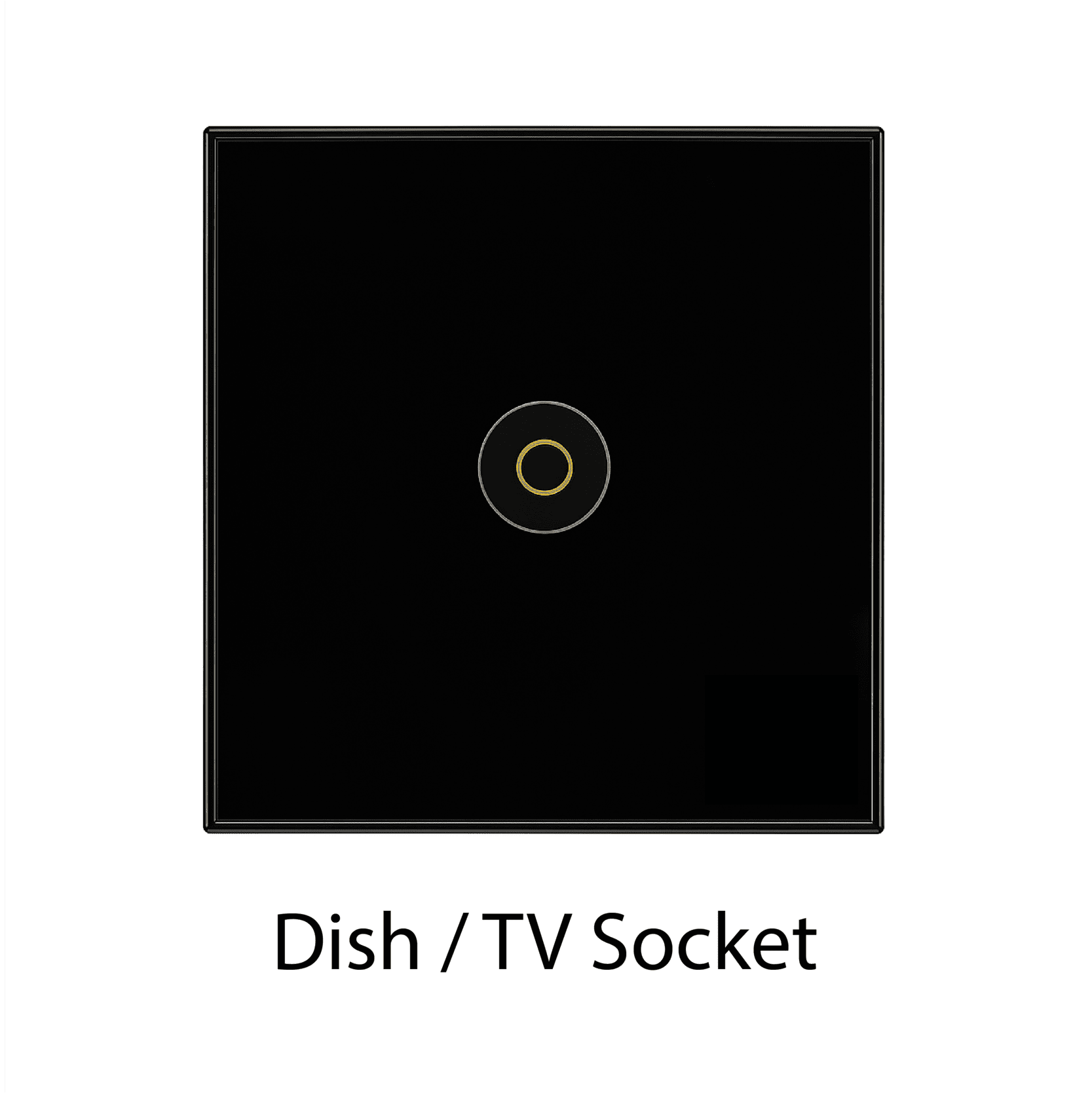 Dish/TV Socket